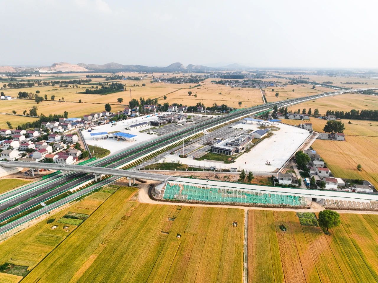 XPJ·(中国区)官方网站