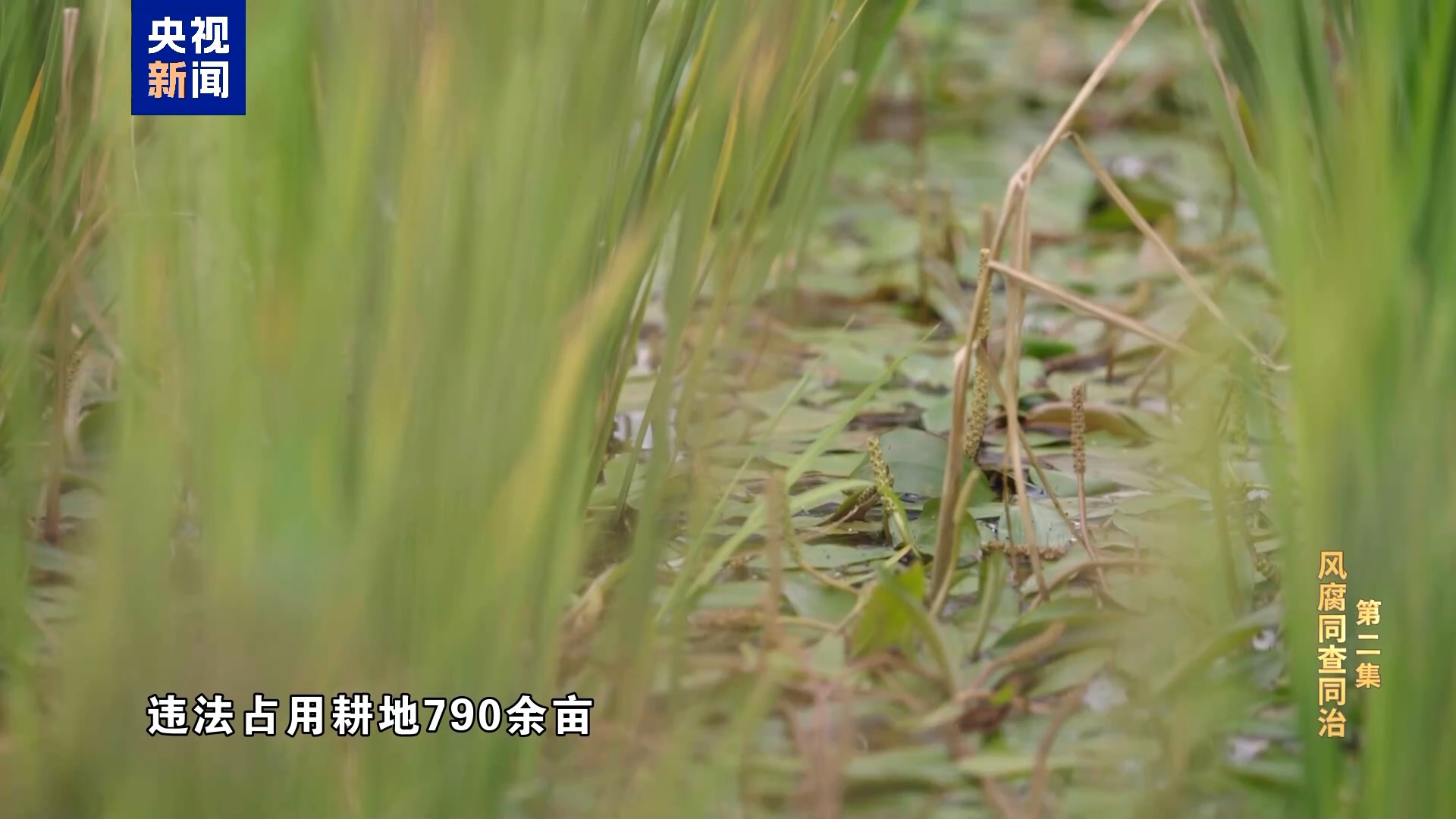 XPJ��(�й���)�ٷ���վ