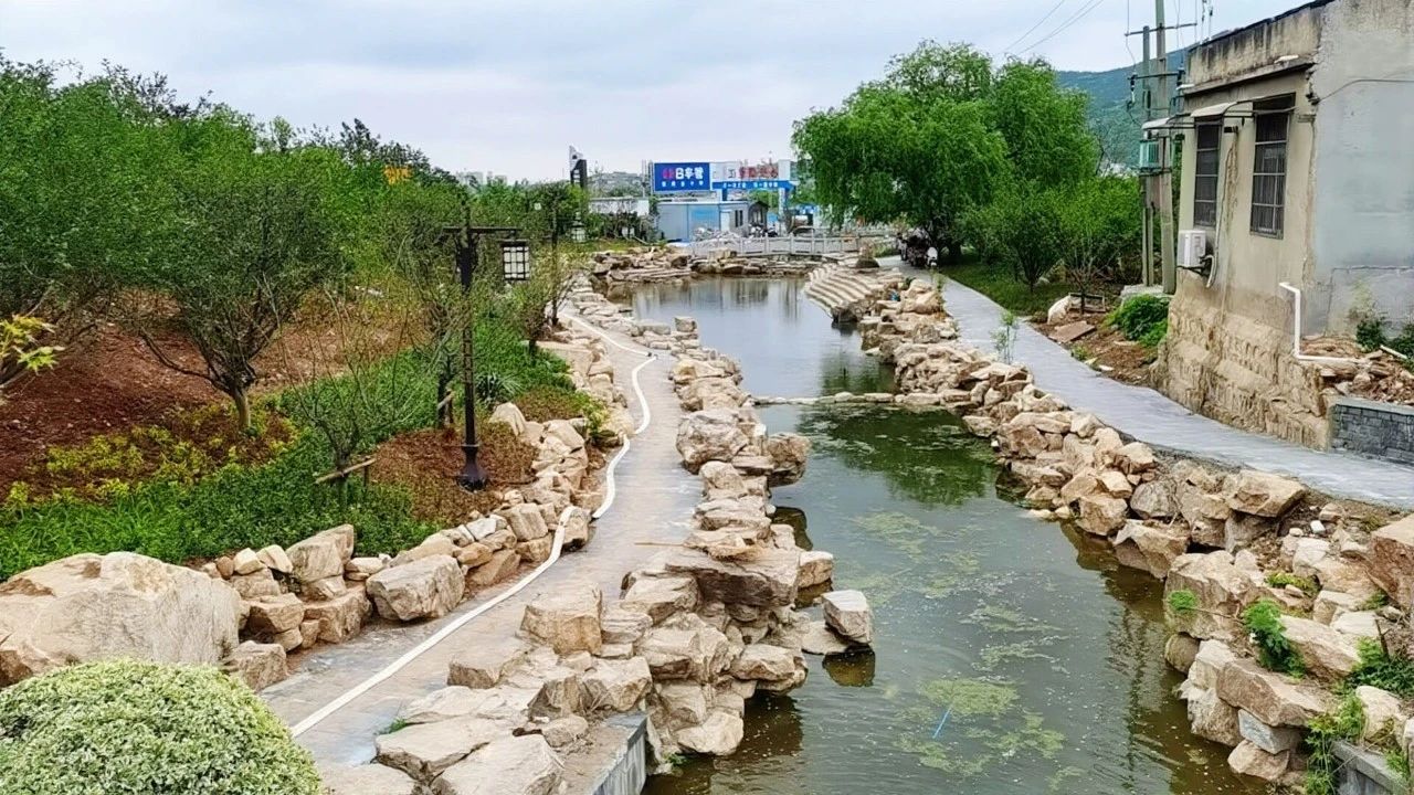 XPJ��(�й���)�ٷ���վ